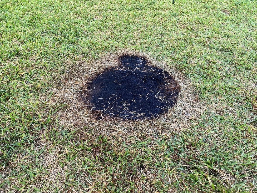 芝生　焚き火シート　焦げ