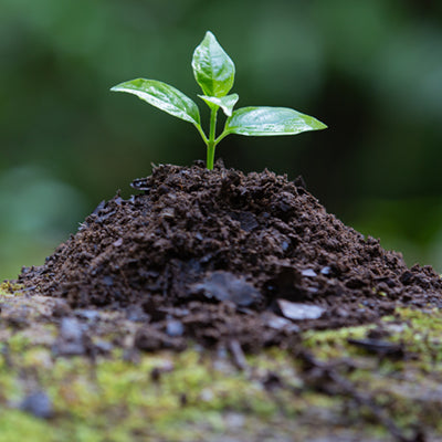 焚き火シートを使おう